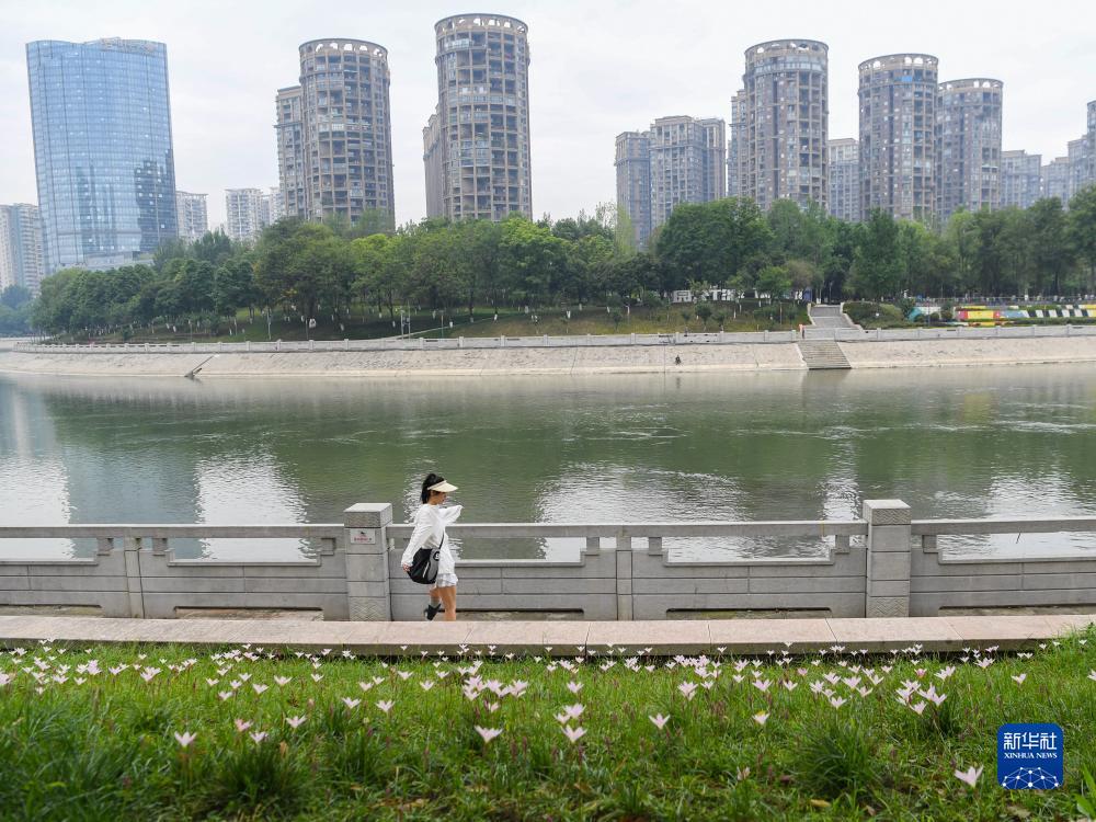 极速百家家乐是玩钱吗